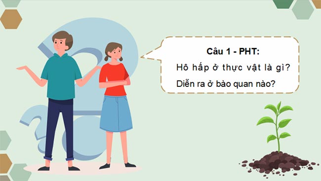 PowerPoint Sinh học 11 Bài 6 Kết nối tri thức