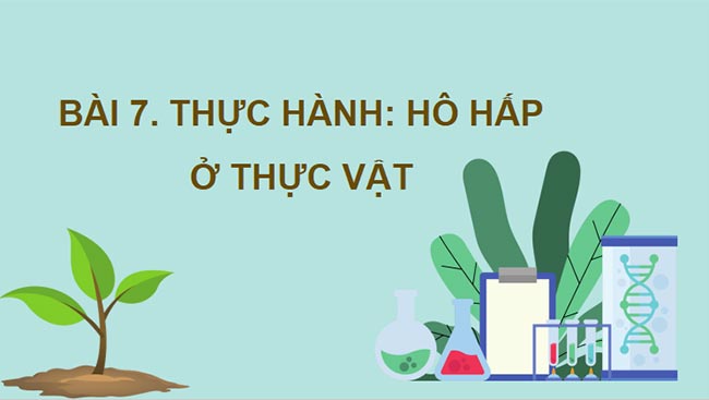 PowerPoint Sinh học 11 Bài 7 Kết nối tri thức