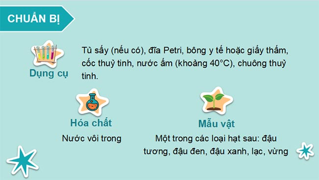 PowerPoint Sinh học 11 Bài 7 Kết nối tri thức