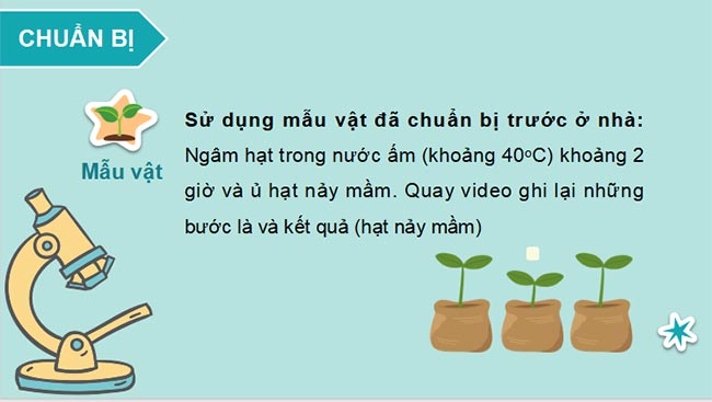 PowerPoint Sinh học 11 Bài 7 Kết nối tri thức