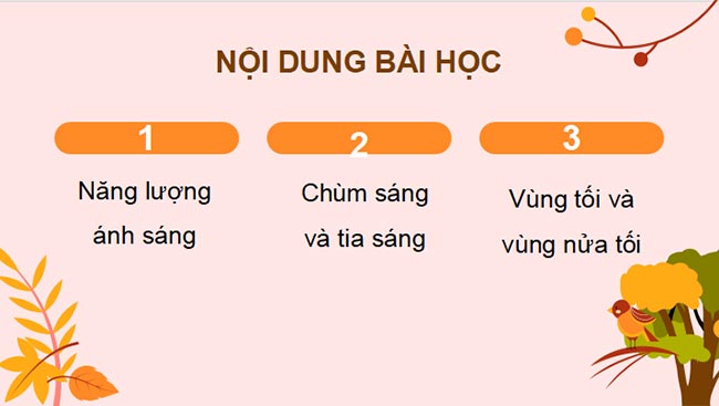 PowerPoint Khoa học tự nhiên 7 CTST Bài 15