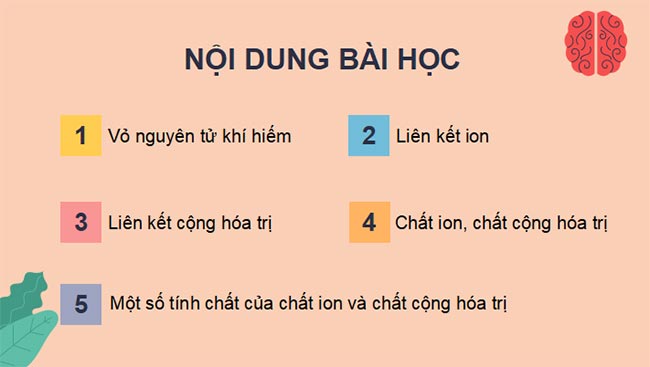 PowerPoint Khoa học tự nhiên 7 CTST Bài 6