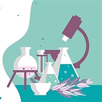 Giáo án Khoa học tự nhiên 7 Bài 8: Tốc độ chuyển động  