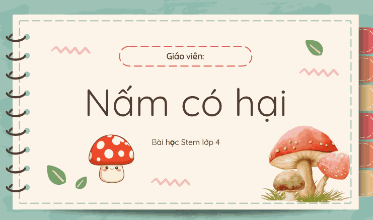 Giáo án PowerPoint STEM lớp 4 - Bộ số 3