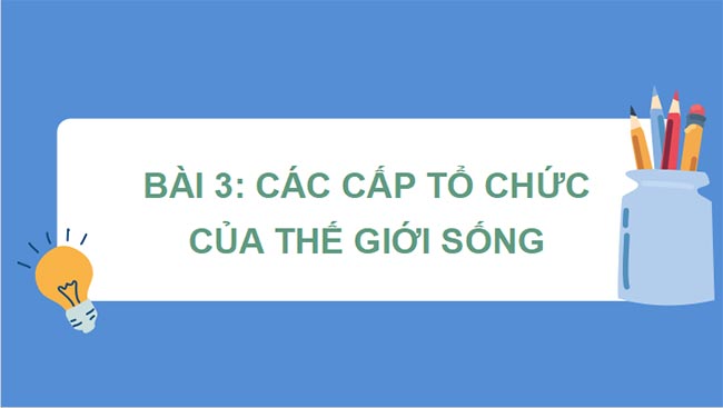 PowerPoint Sinh học 10 Bài 3 Kết nối tri thức