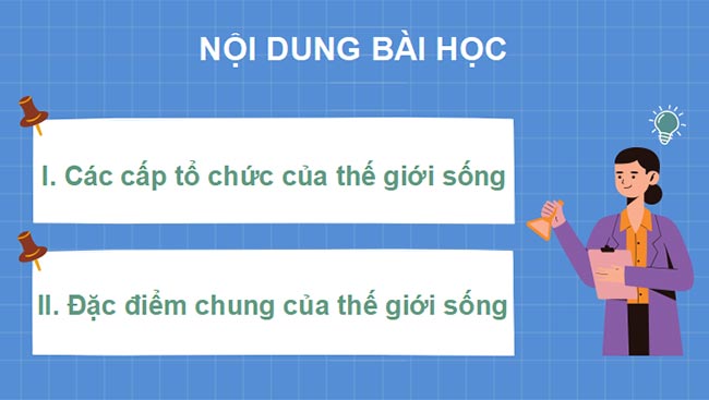 PowerPoint Sinh học 10 Bài 3 Kết nối tri thức