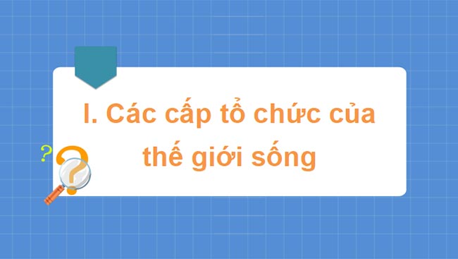 PowerPoint Sinh học 10 Bài 3 Kết nối tri thức