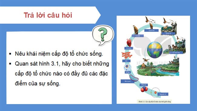 PowerPoint Sinh học 10 Bài 3 Kết nối tri thức