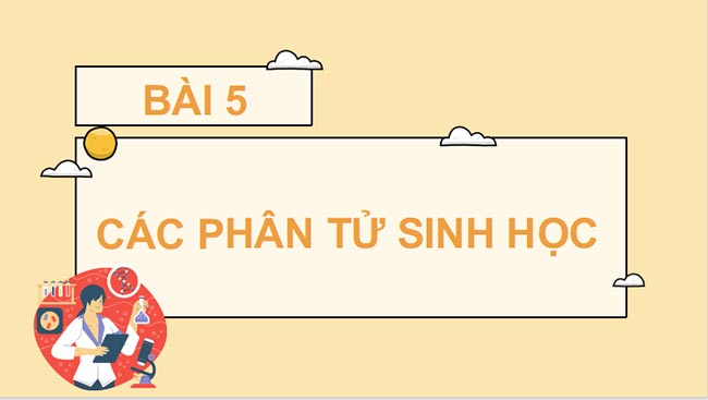 PowerPoint Sinh học 10 Bài 5 Kết nối tri thức