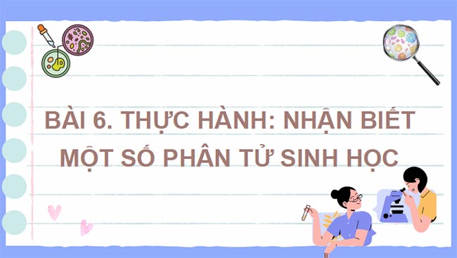 PowerPoint Sinh học 10 Bài 6 Kết nối tri thức