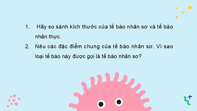 PowerPoint Sinh học 10 Bài 7 Kết nối tri thức