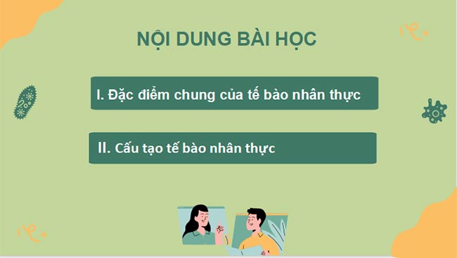 PowerPoint Sinh học 10 Bài 8 Kết nối tri thức