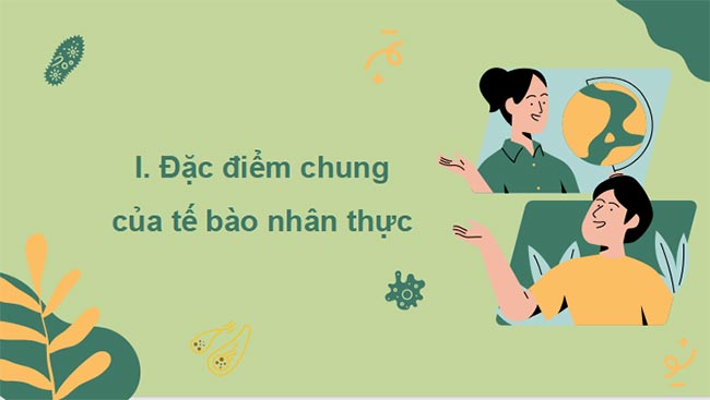 PowerPoint Sinh học 10 Bài 8 Kết nối tri thức