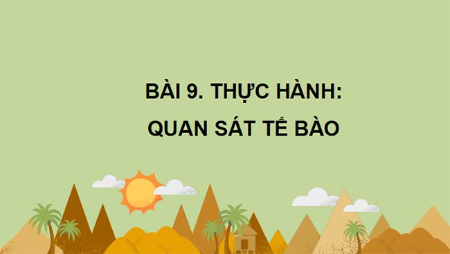PowerPoint Sinh học 10 Bài 9 Kết nối tri thức