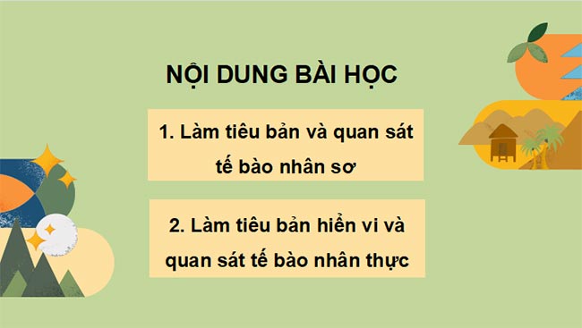 PowerPoint Sinh học 10 Bài 9 Kết nối tri thức