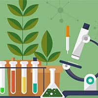 Giáo án Sinh học 10 Bài 10: Trao đổi chất qua màng tế bào  