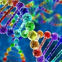 Giáo án Sinh học 10 Bài 2: Phương pháp nghiên cứu và học tập môn Sinh học