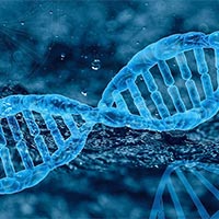 Giáo án Sinh học 10 Bài 3: Các cấp độ tổ chức của thế giới sống  