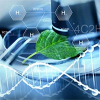 Giáo án Sinh học 10 Bài 5: Các phân tử sinh học  