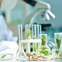 Giáo án Sinh học 10 Bài 6: Thực hành nhận biết một số phân tử sinh học  