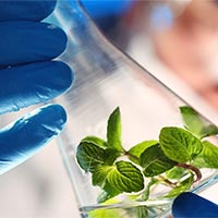 Giáo án Sinh học 10 Bài 8: Tế bào nhân thực  