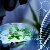 Giáo án Sinh học 10 Bài 9: Thực hành quan sát tế bào  