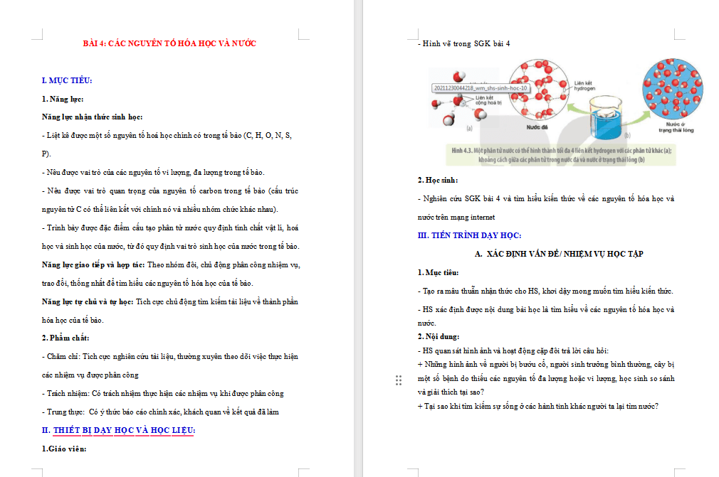 PowerPoint Sinh học 10 Kết nối Bài 4