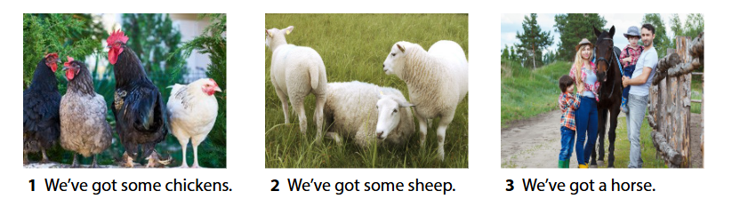 Tiếng Anh lớp 4 unit 3 lesson 1 minh họa 5