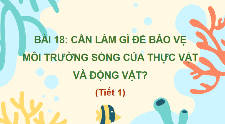 Bài giảng điện tử Tự nhiên và xã hội lớp 2