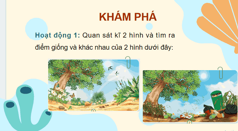 Bài giảng điện tử Tự nhiên và xã hội lớp 2