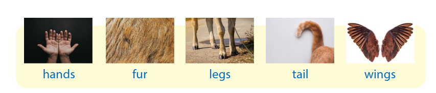 Wonderful world 4 unit 3 On the farm lesson 2 minh họa 1