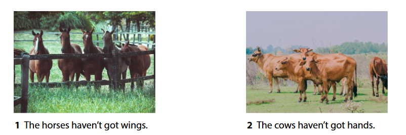 Wonderful world 4 unit 3 On the farm lesson 2 minh họa 4