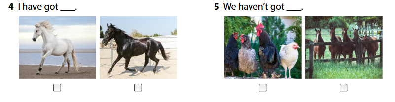 Wonderful world 4 unit 3 On the farm lesson 2 minh họa 8