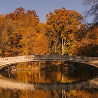 Giáo án Địa lí 11 Bài 12: Kinh tế khu vực Đông Nam Á  