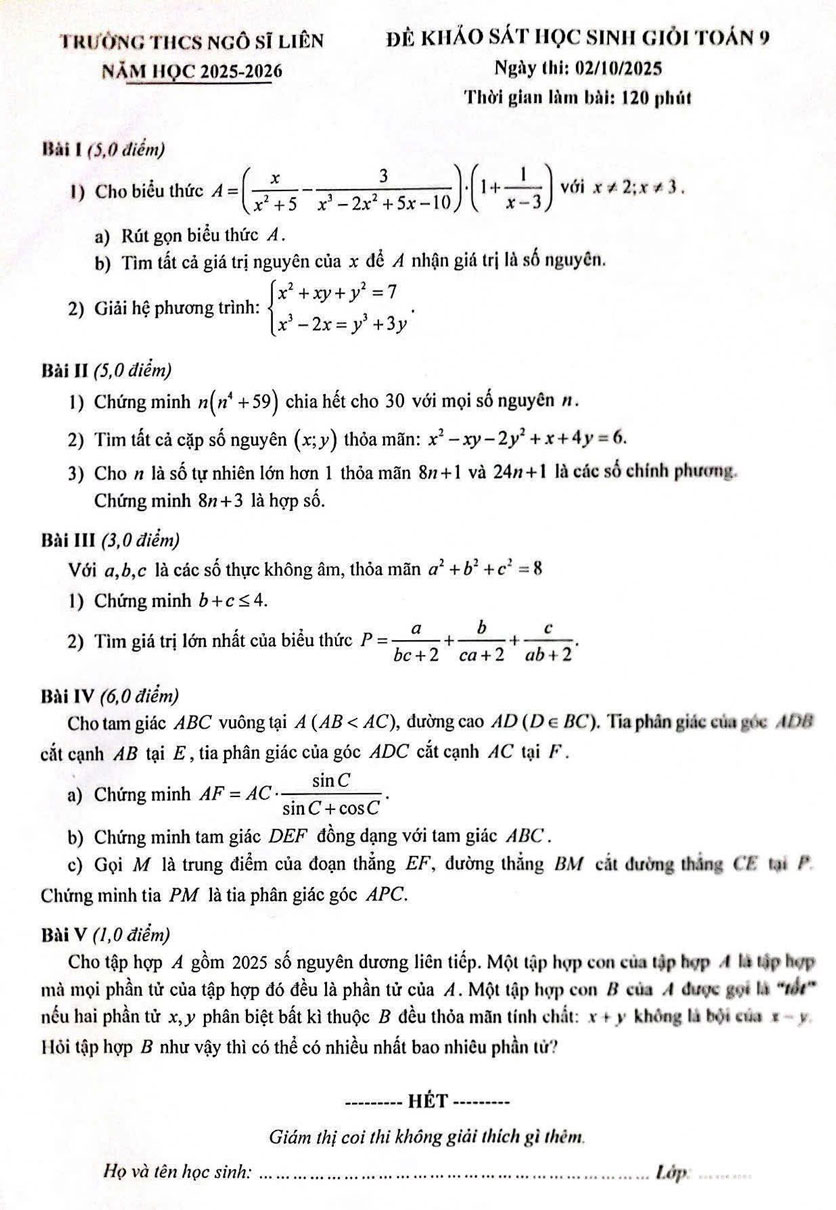 Đề kiểm tra đội tuyển Toán 9 năm 2025 của trường THCS Ngô Sĩ Liên