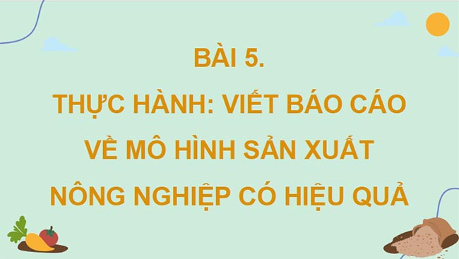 Giáo án PowerPoint Địa lí 9 Cánh diều Bài 5