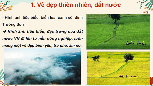 PowerPoint Ngữ văn 6 Bài 3: Việt Nam quê hương ta