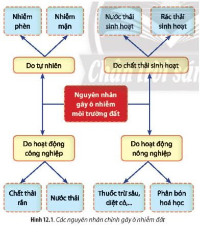 Giải Chuyên đề Sinh học 10 Chân trời sáng tạo bài 12