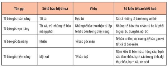 Giải Chuyên đề Sinh học 10 Chân trời sáng tạo bài 4