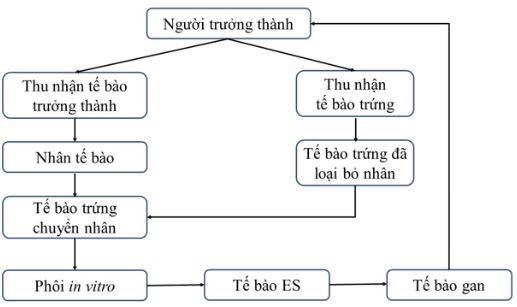 Giải Chuyên đề Sinh học 10 Chân trời sáng tạo bài 4