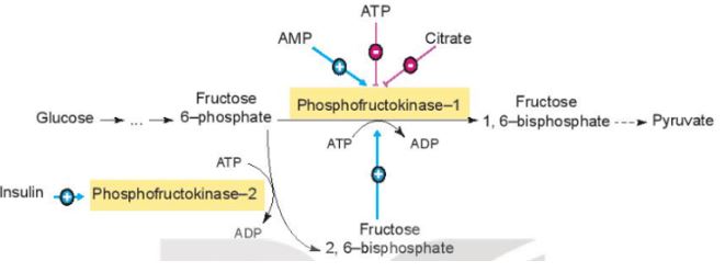 Giải Chuyên đề Sinh học 10 Kết nối tri thức bài 5