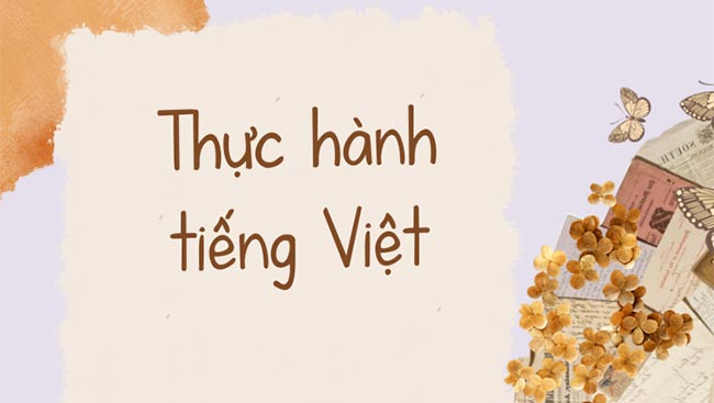 PowerPoint Ngữ văn 8 Bài 3: Thực hành tiếng Việt