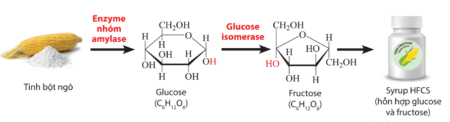 Giải Chuyên đề Sinh học 10 Cánh diều bài 10