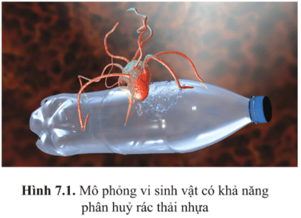 Giải Chuyên đề Sinh học 10 Cánh diều bài 7