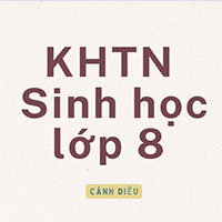 Giáo án Powerpoint + Word Khoa học tự nhiên - Sinh học lớp 8 Cánh diều 