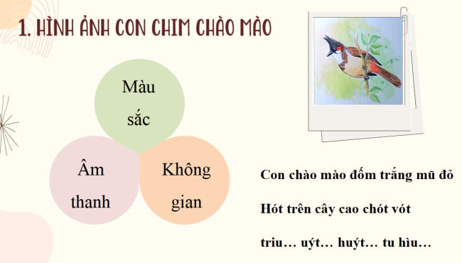 PowerPoint Ngữ văn 6 Bài 3: Con chào mào