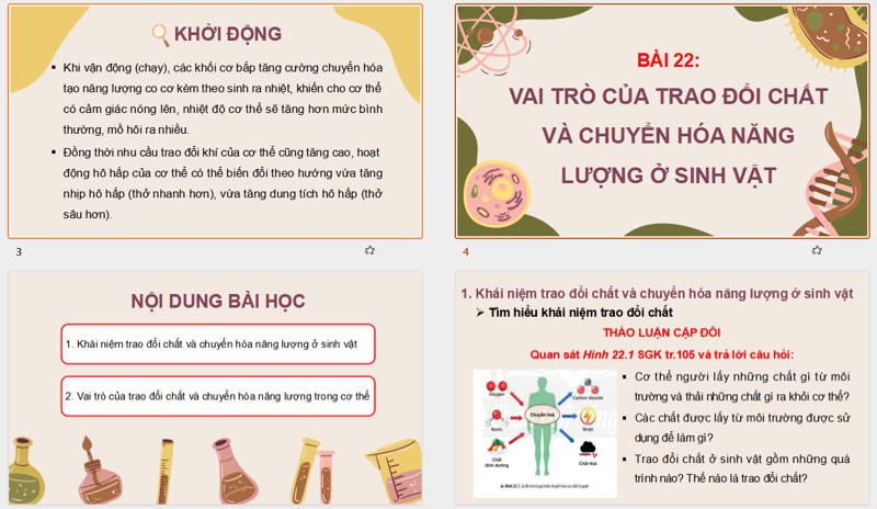 Giáo án Power Point KHTN - Sinh học 7 CTST