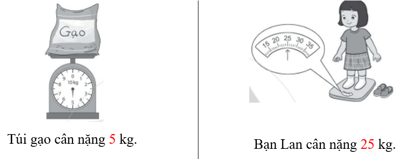 Vở bài tập Toán lớp 2 Cánh diều Bài 40: Luyện tập chung (trang 66)