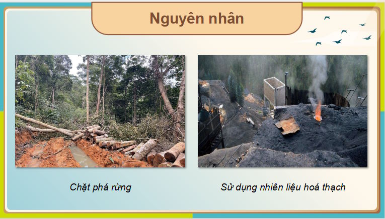 Giáo án PowerPoint Địa lí 8 Cánh diều Bài 8