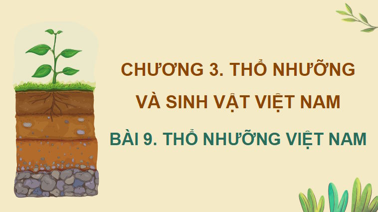 Giáo án PowerPoint Địa lí 8 Cánh diều Bài 9